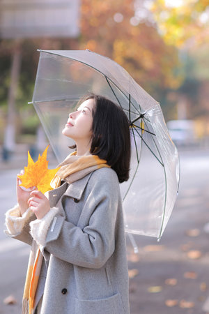 苏家有女苏杳小说